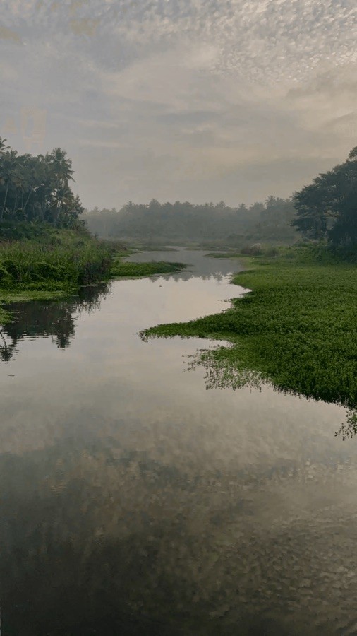 Still water, slow days